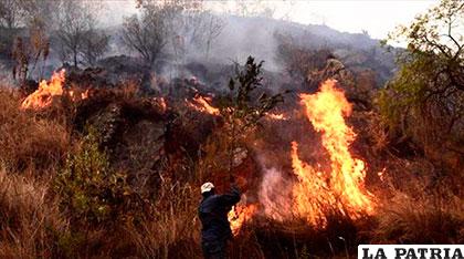 Chile y Argentina quieren cooperar para sofocar las llamas /MINISTERIO DE GOBIERNO