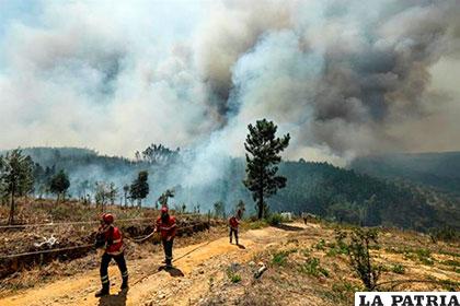 Incendios aún mantienen en alerta a Portugal