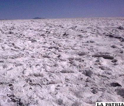Las capas de sal llegan a tener un grosor de hasta 20 centímetros en algunos sectores