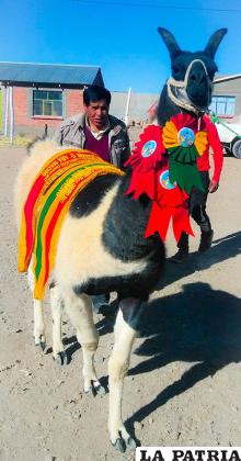 Gran campeón departamental tiene un peso de 166 kilogramos /Gad-oru