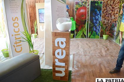 YPFB destaca beneficios de la urea en la producción agrícola 