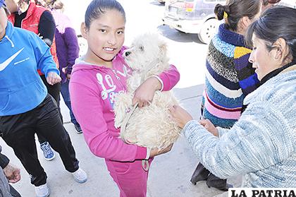 La tenencia responsable de mascotas es una política por instituir en Oruro.