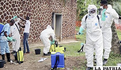El ébola recientemente mató a siete integrantes de una familia /wp.com
