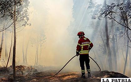 Varios bomberos luchan contra las llamas en un incendio forestal declarado en
Belem /METRO NICARAGUA