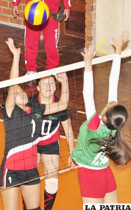 El voleibol postergó su congreso nacional /ARCHIVO