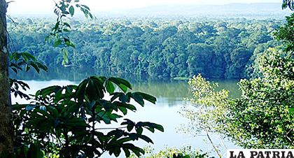 Una vista del Parque Madidi /Bolivia en tus manos
