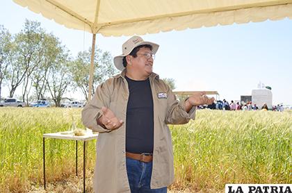 Marín Condori, el orureño que está tropicalizando la quinua 