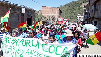 Marcha de cocaleros de Los Yungas que partió de La Asunta /Página Siete
