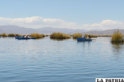 En el centro del lago existe mayor cantidad de peces
