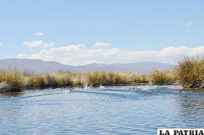 El lago puede ser aprovechado como lugar turístico
