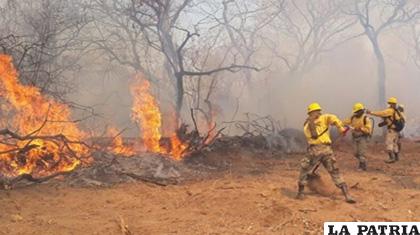 Gran Incendio forestal en Roboré /Ministerio de Defensa