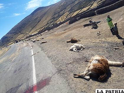 Las llamas perecieron a consecuencia del estado de ebriedad del conductor /LA PATRIA