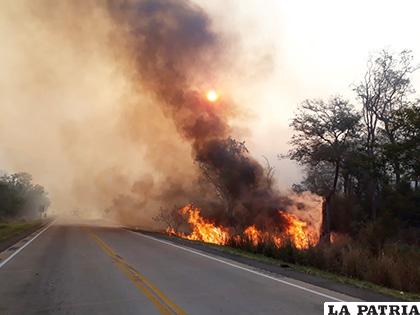 La quema forestal otra vez ataca al sector oriental /WhatsApp /JES?S URDININEA