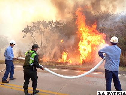 Personal de bomberos tratando de sofocar el incendio en la Chiquitanìa /Animalista Digital