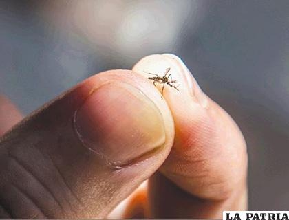 La mujer es la víctima 12 de Nicaragua por el Dengue /PERIODICO HOY