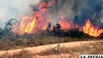 Los incendios que azotan la Amazonía brasileña, en Porto Velho, capital del estado amazónico de Rondonia /EFE