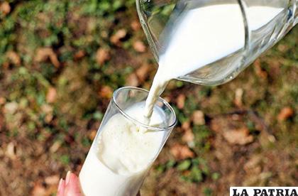 Guatemala, El Salvador, Honduras y Panamá son más importadores de leche, y su consumo per cápita es menor /La Estrella de Panamá