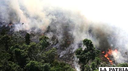 Vista aérea de una zona calcinada, este viernes, en la selva amazónica de Porto Velho, Rondonia (Brasil) /EFE /Joédson Alves