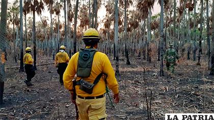 Los incendios también afectaron al imponente bosque paraguayo /conlagentenoticias.com