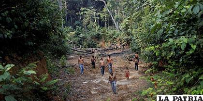 Indígenas en área amazónica deforestada /eltiempo.com