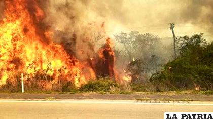 Los incendios no han cesado en la Chiquitanía e hizo que el Gobierno se abra a la ayuda internacional /ANF