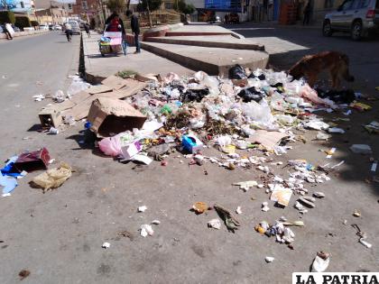 Promontorios de basura en las calles de Oruro, no sólo afectan al medio ambiente /LA PATRIA