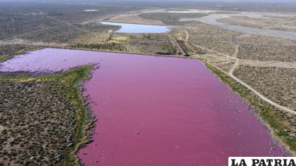 Las aguas de la laguna Corfo son rosadas en Trelew, provincia de Chubut, Argentina / AP Foto/Daniel Feldman