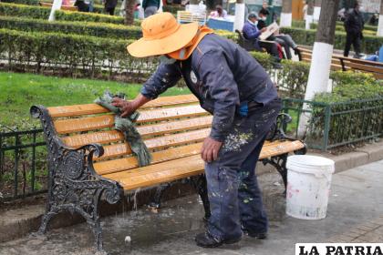 Remueven la suciedad generada por palomas /LA PATRIA
