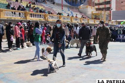 Canes participaron de las actividades por San Roque /LA PATRIA