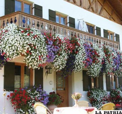 Las petunias adornan los balcones /DECO RATRIX