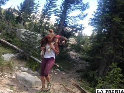 La mascota se encontraba abandonada en las montañas /EL TIERRERO