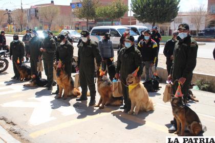 Perritos fueron premiados y agasajados /LA PATRIA