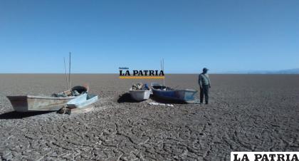 Fauna silvestre murió por falta de agua 
/LA PATRIA ARCHIVO