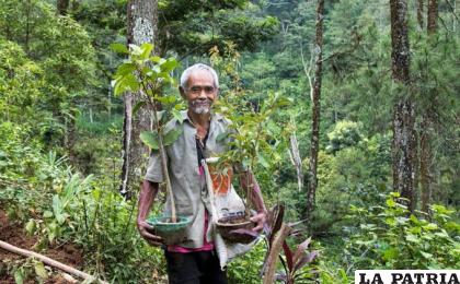 Sadiman se convirtió en héroe de indonesia por revertir una crisis ambiental /EL TIERRERO