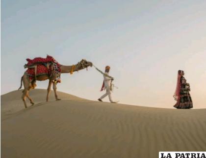 Los camellos son sagrados para el pueblo de Rajastán /NATGEO