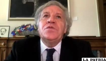 El secretario General de la OEA, Luis Almagro /ERBOL