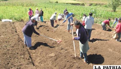Esta sirve para reconocer las labores de quienes producen en el campo