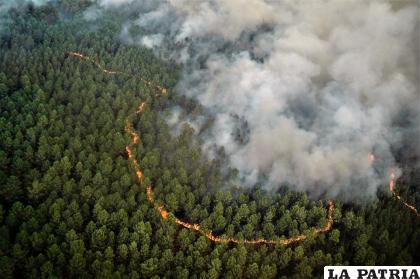 Vista aérea de un incendio al sur de Burdeos /SDIS 33 vía AP
