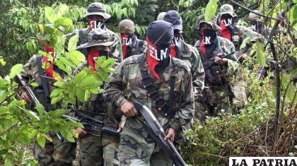 La guerrilla del ELN mostró voluntad de negociar liberando rehenes /FOTO EL PERI?DICO