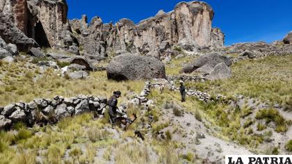 Canes especializados de La Paz, buscan a Adriana en Vilacollo /LA PATRIA
