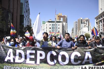 La marcha de Alanez llegó hasta el mercado paralelo de la coca /APG