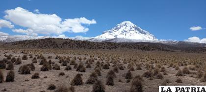 El nevado resalta entre el llano paisaje /CORTESÍA