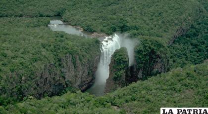 El Parque Nacional Noel Kempff Mercado alberga distintas especies de flora y fauna / The Nature Conservancy