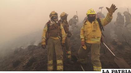 Los bomberos forestales en pleno trabajo de sofocación de focos de calor que generan incendios 
/Internet