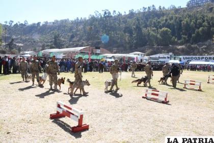 Compromiso del Ejército con los animales /Cortesía