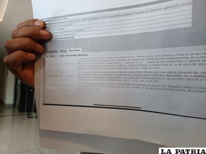 El diputado Pedraza hizo público el recurso presentado por el ministro de Gobierno Del Castillo 
/LA PATRIA