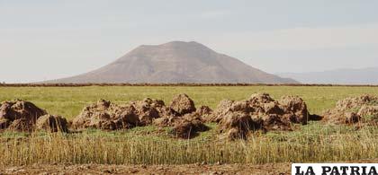 Paisaje 
La provincia Tomas Barrón cuenta con hermosos paisajes a lo largo de su extensión, descubriendo impresionantes montañas y pastizales en los que el ganado vacuno pasea y se alimenta.
La brisa fría del altiplano acompaña el solitario horizonte que se muestra en el cuadro, los viajeros de Oruro a La Paz y viceversa pueden disfrutar de la naturaleza.
La impresión que da dicho paisaje sólo se encuentra en el Departamento de Oruro, siendo la atracción de turistas que cruzan los parajes de una de las provincias fecundas en producción lechera.