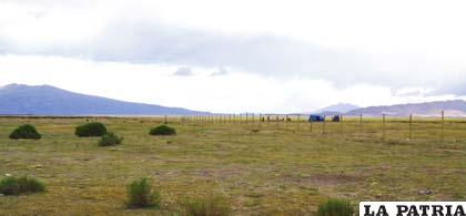 La Brigada de Solidaridad recorrerá toda la zona fronteriza de Oruro (Pisiga Bolívar)