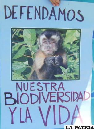 La imagen de un mono que habita en el Tipnis fue utilizada en defensa del Medio Ambiente