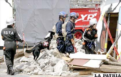 Miembros de los equipos de rescate de la Marina trabajan con perros rastreadores durante un simulacro de terremoto en Yokohama al sur de Tokio /EFE